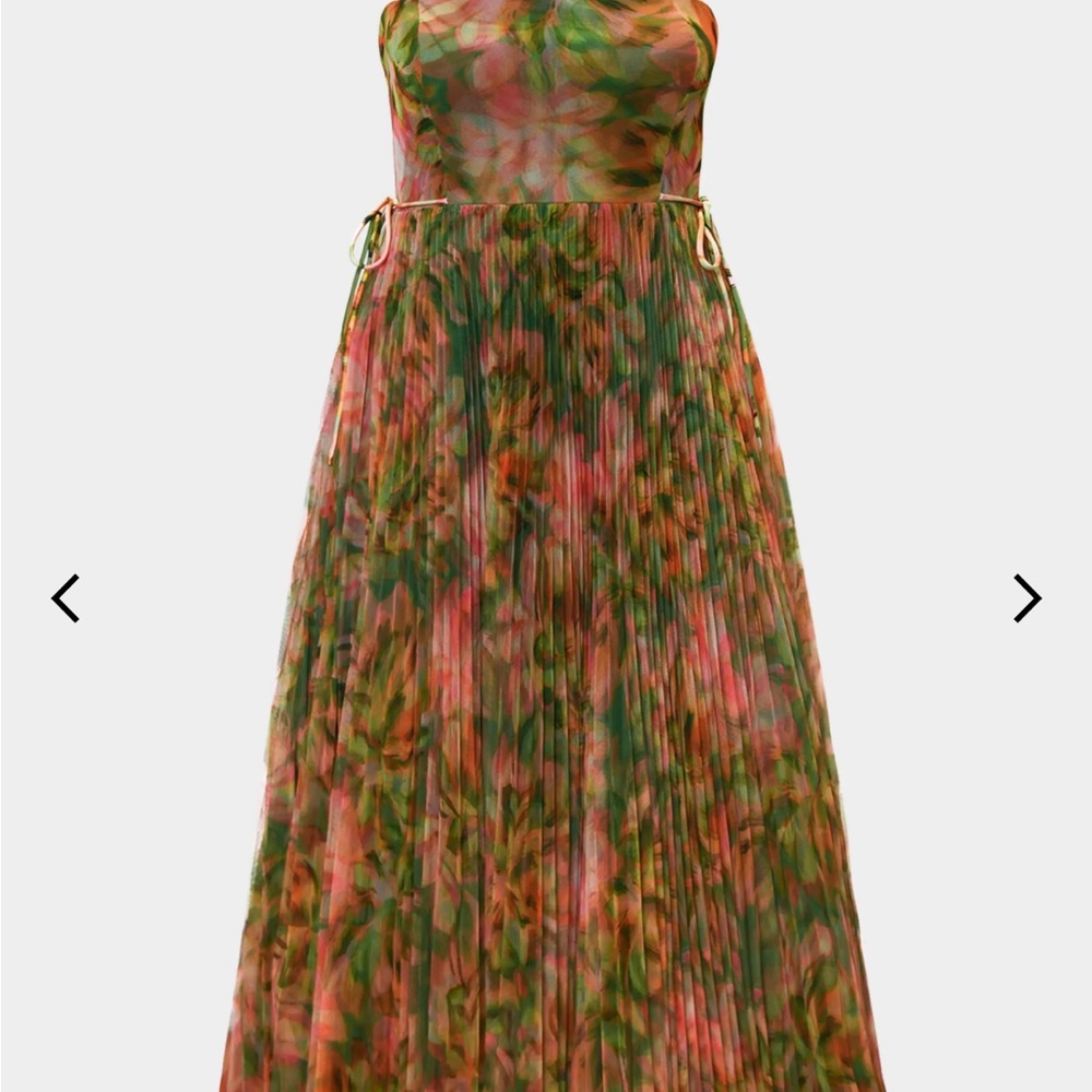 Hutch Costella Pleated Floral-Print Tulle Gown